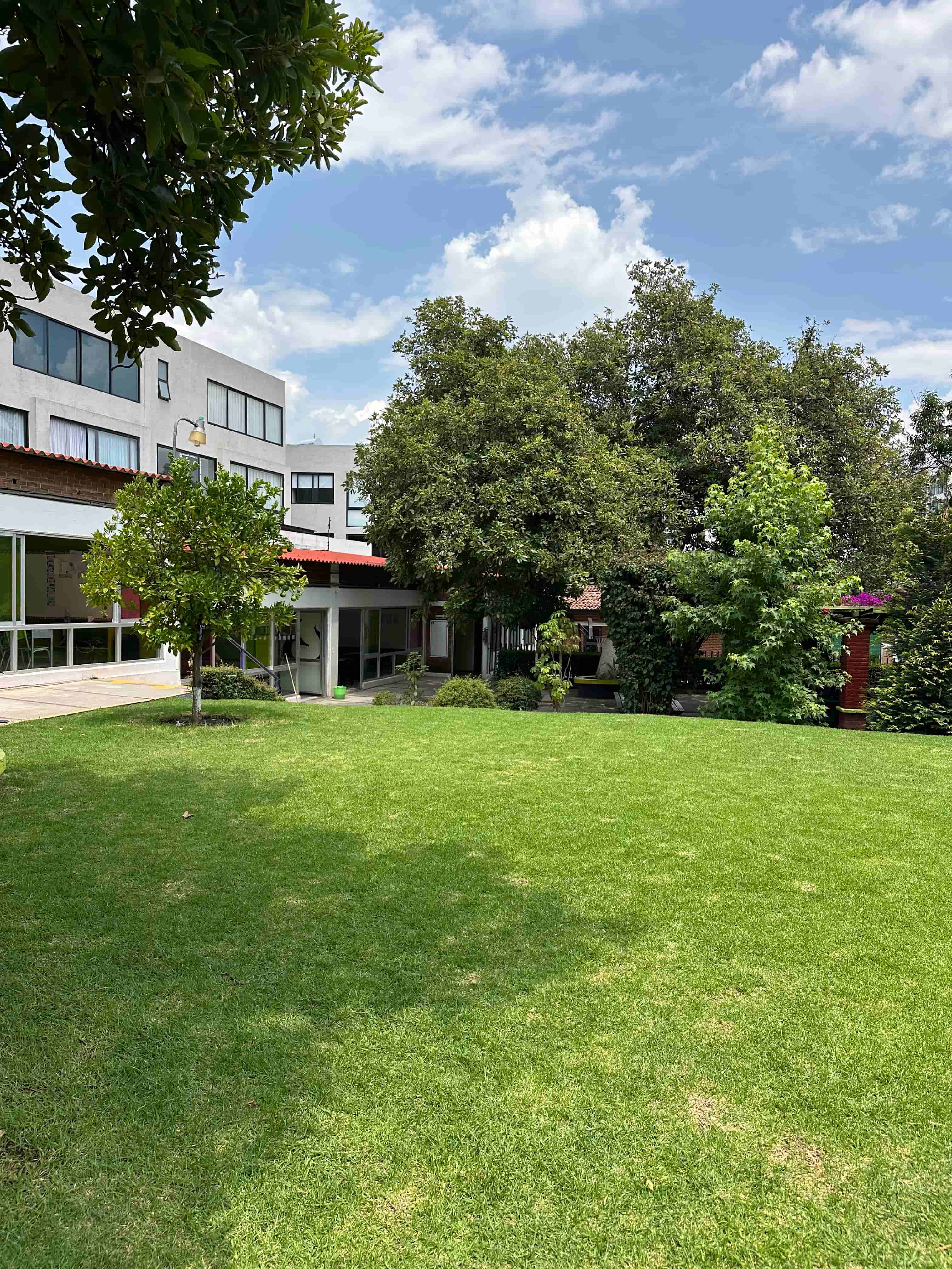 Instalaciones Colegio Alexander Bain