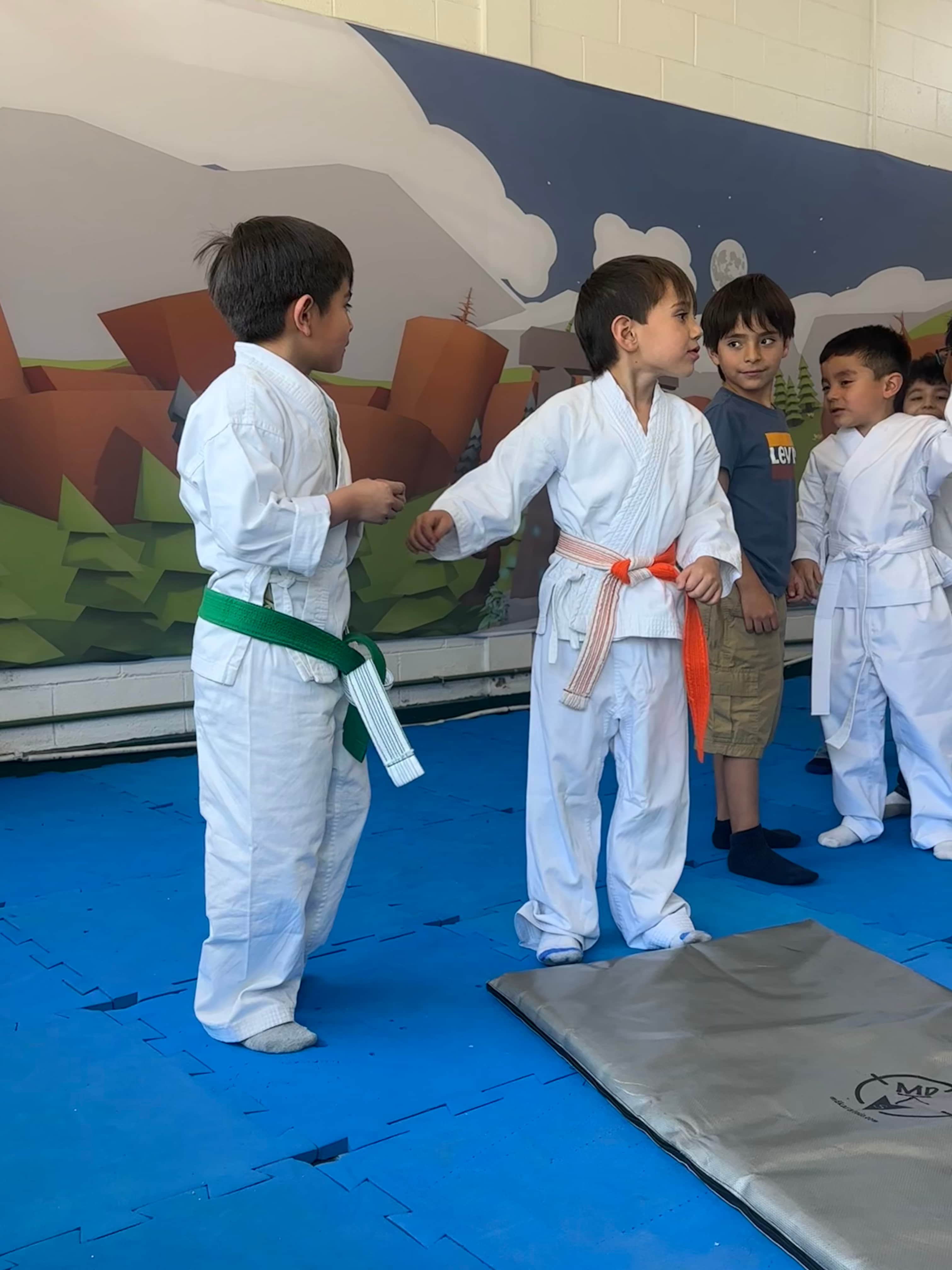 Karate